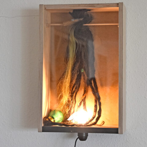 Dreadlocks in einer Ausstellungskiste